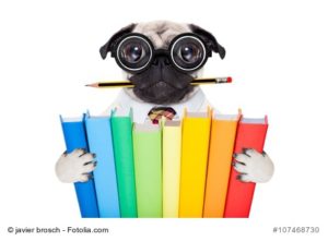 Lustiger Hund mit Büchern und Brille